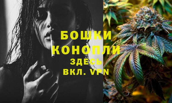 спайс Арсеньев