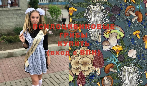 метадон Аркадак