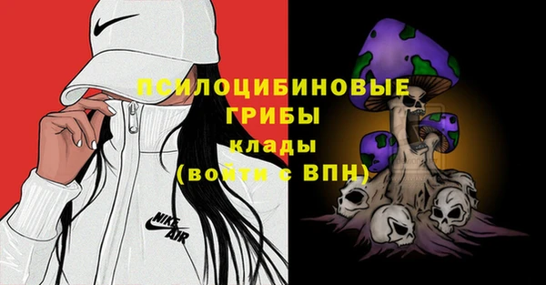 спайс Арсеньев