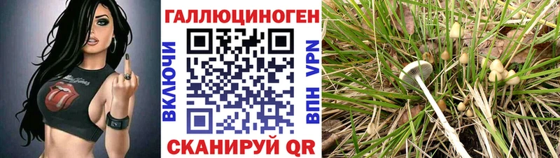 Галлюциногенные грибы Psilocybine cubensis  Усть-Кут 